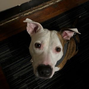 Meet your Posher, Makiah